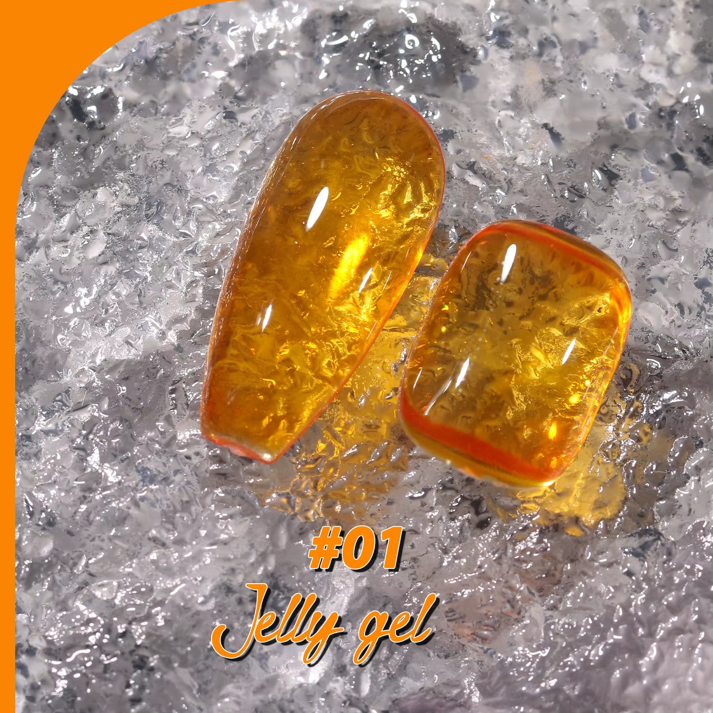 Jting Jelly 01