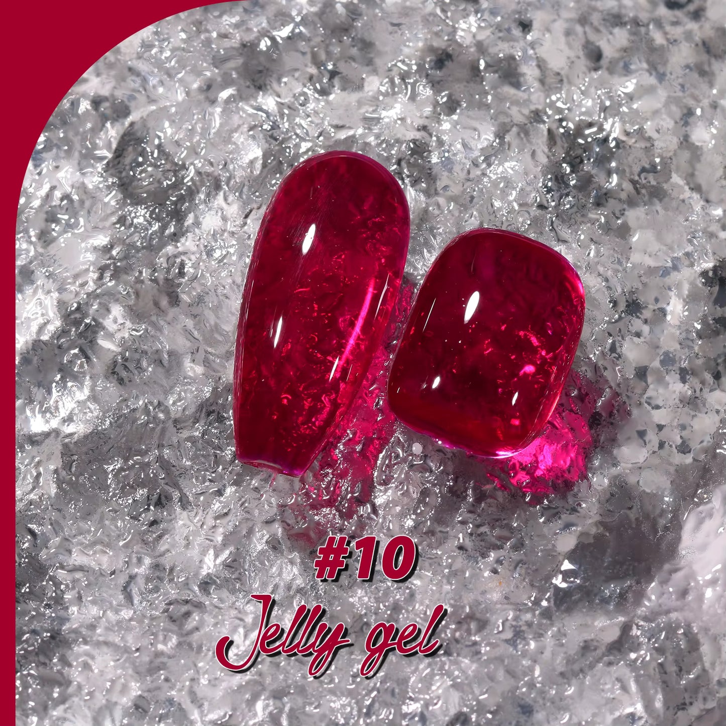 Jting Jelly 10