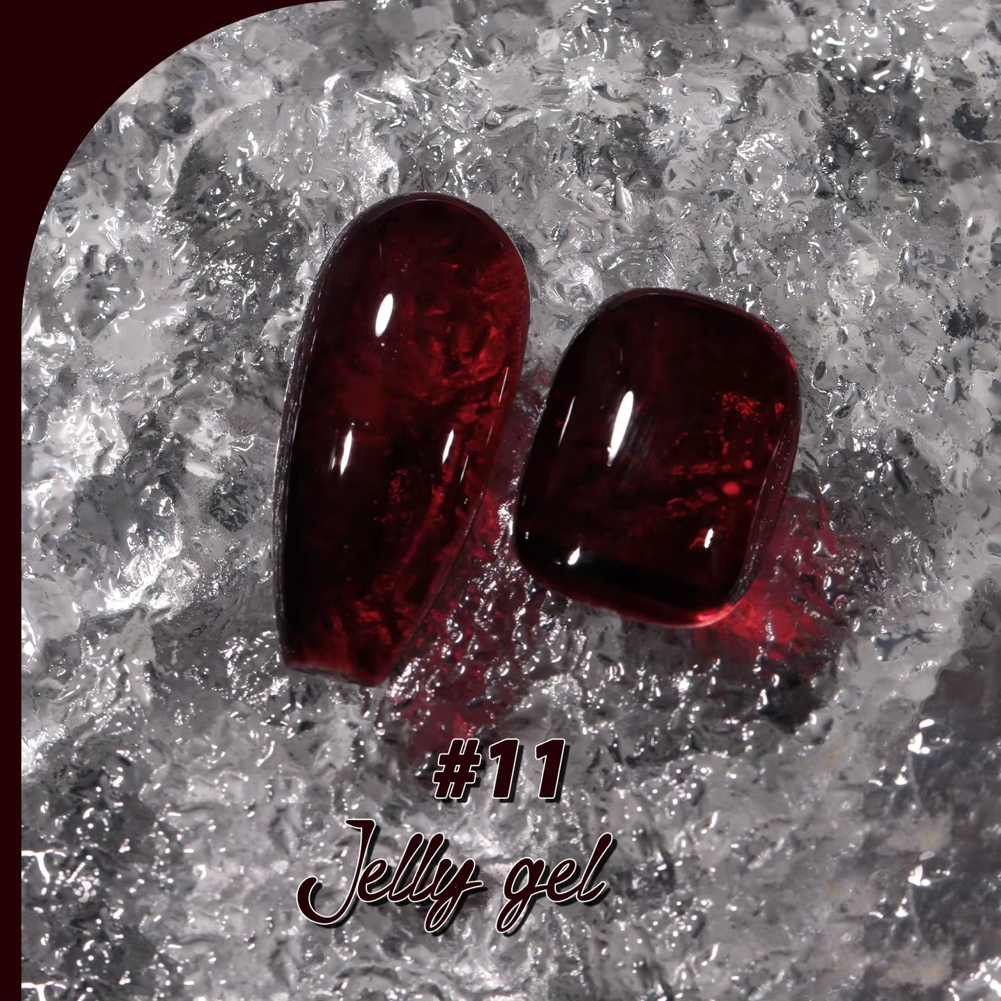 Jting Jelly 11