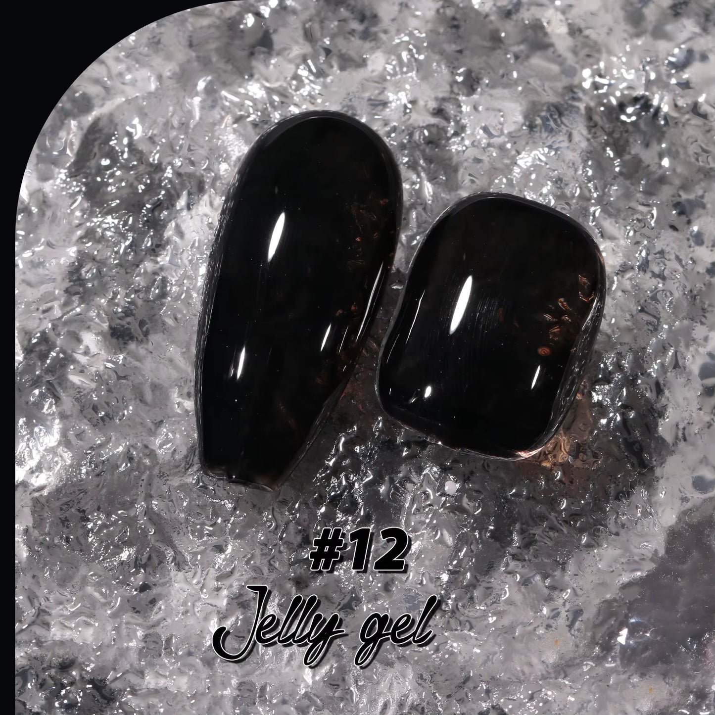 Jting Jelly 12